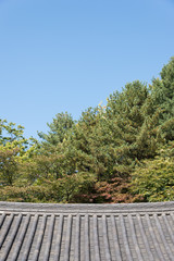 tiled roof of Korean traditional Architecture