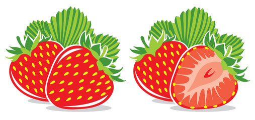 Strawberries vector illustration