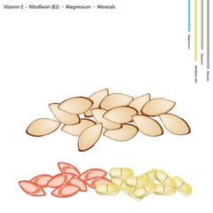 Almonds with Vitamin E, Riboflavin and Minerals