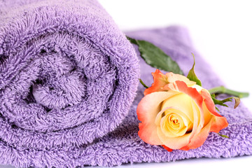 Obraz na płótnie Canvas isolated lilac towel with yellow rose with copy space 