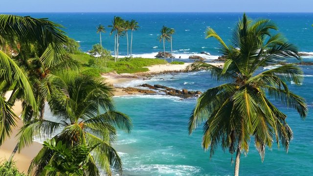 beautiful landscape with sea waves on tropical beach and coconut palms
