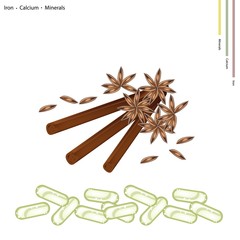 Star Anise and Cinnamon Sticks with Minerals