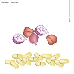 Fresh Shallot Onions with Vitamin B6 and Minerals
