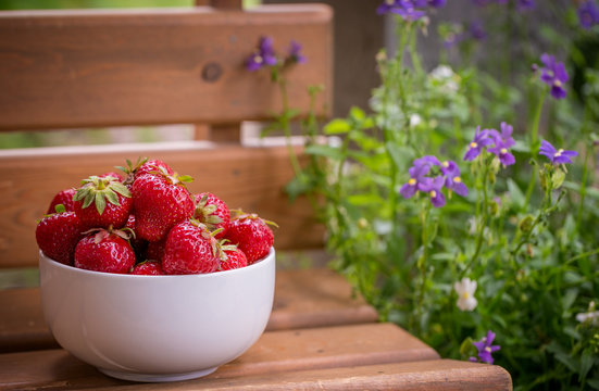 Berries in Summer