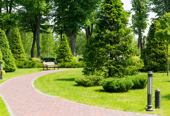 Pavement in the park