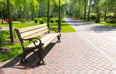 Bench in the local park