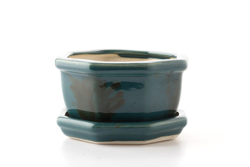 small potted isolated on white background