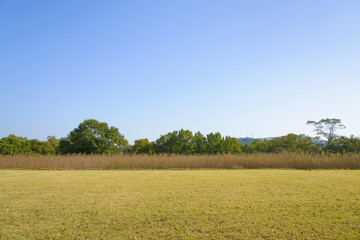 lawn field and trees with clear sky