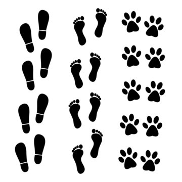 Vector collection of human and animal trace