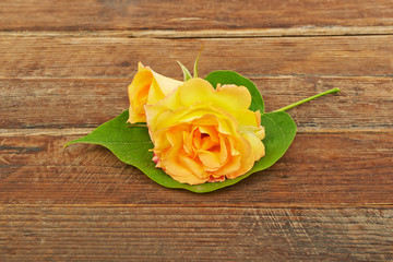 Flower of yellow roses