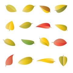 Set of multicolored bright autumn leaves, in vector