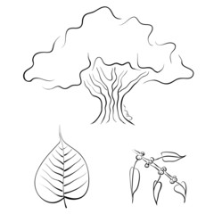 Bodhi tree with Buddha figure, vector illustration