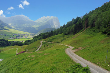 Fototapeta na wymiar mountains of bregenz