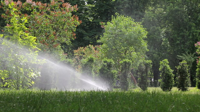 watering with water sprinkler