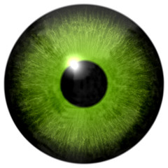 Isolated green eye illustration