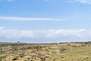 Landscape of plateau in Hallasan moutain