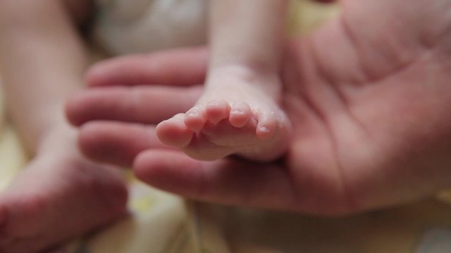 the adult hand holds in the palm of the leg of a small child