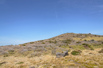 Witse-Oreum at Yeongsil trail in Hallasan