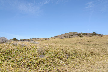 Witse-Oreum at Yeongsil trail in Hallasan