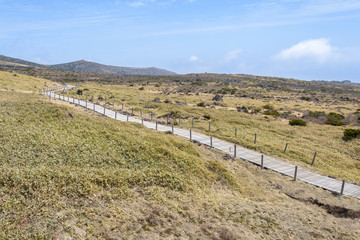 Fototapeta na wymiar Landscape of plateau in Hallasan moutain