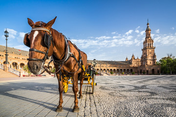 Naklejka na ściany i meble Typical horse drawn carriage in Plaza de Espana. Seville. Spain.