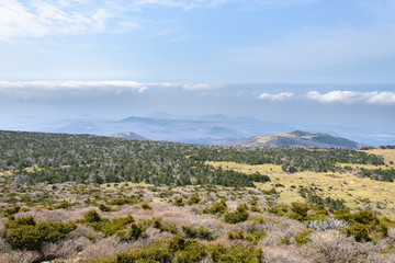 Fototapeta na wymiar Plateau View from Witse-Oreum in Yeongsil