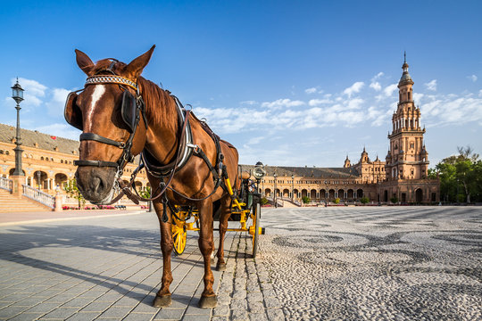 Typical horse drawn carriage in Plaza de Espana. Seville. Spain.