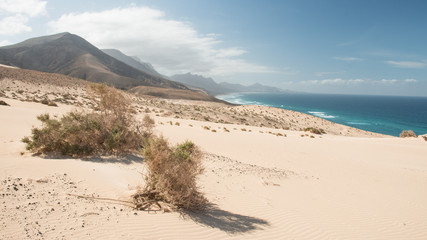 Coast of Fuerteventura