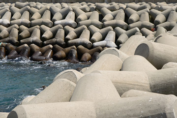 Fototapeta premium Tetrapod
