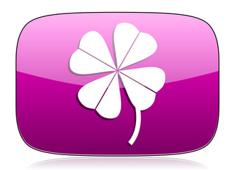 four-leaf clover violet icon