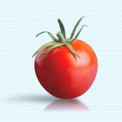 Tomato, freshness, summer.