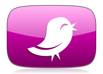 twitter violet icon