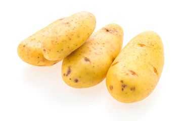 Potato vegetables isolated