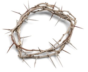 Thorn, Crown Of Thorns, Grief.