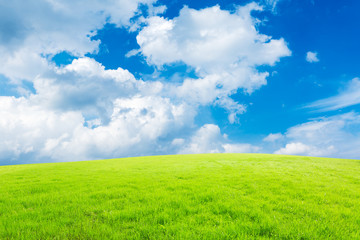 green field and blue sky