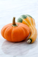 organic summer squash