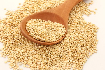 Quinoa Gold on White Background