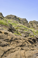Fototapeta na wymiar Strange Rocks at Yoengmeri Beach in Jeju