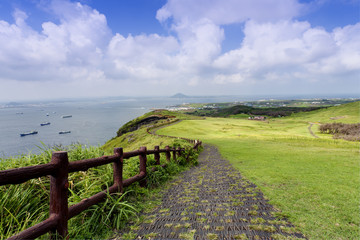 Fototapeta na wymiar landscape of Jeju Island, South Korea