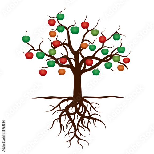 "Color Apple Tree and Roots. Vector Illustration." Stock image and