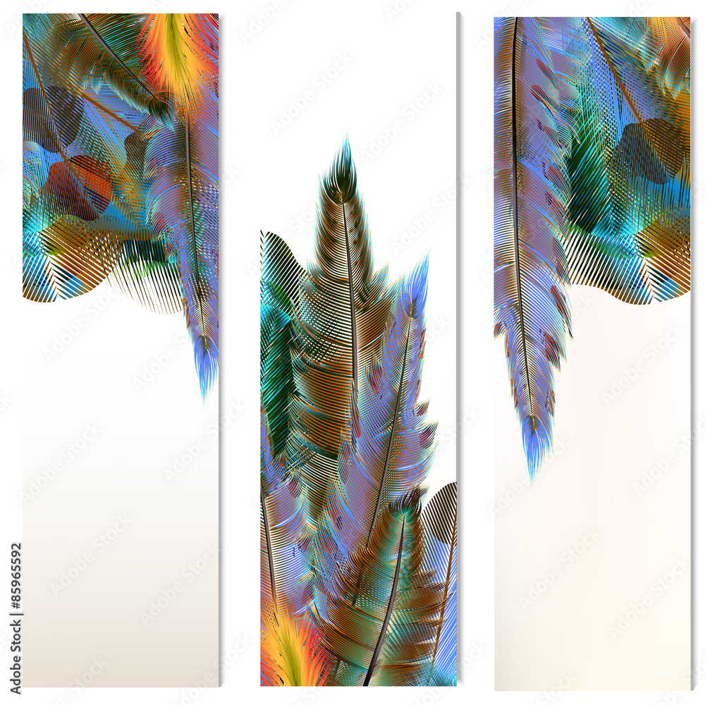 Poster brochures set with colorful feathers