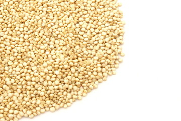 Quinoa Gold on White Background