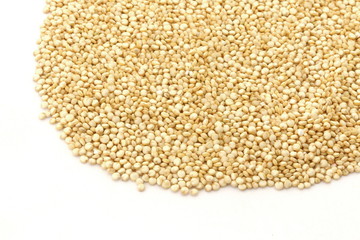 Quinoa Gold on White Background