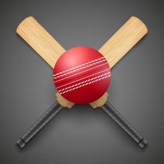 Vector illustration of cricket leather ball and wooden bats.