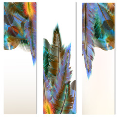 Brochures set with colorful feathers