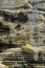 sedimentary rock at Yongmeori coast in Jeju island