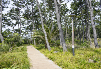 VIew of Olle course No. 7