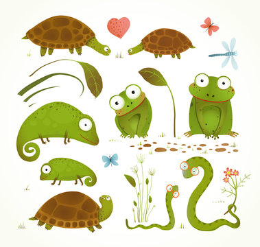 Cartoon Green Reptile Animals Childish Drawing Collection