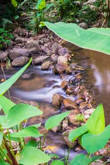 Foto op Plexiglas Water Flowing in Natural Park © Kobchai M.