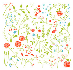 Floral Doodle Field Flowers and Plants Decoration Collection
